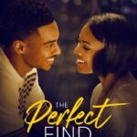 Download The Perfect Find (2023) Dual Audio {Hindi-English} Movie 480p