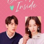 Download Beauty Inside (Season 01) Hindi Dubbed K-Drama Web Series