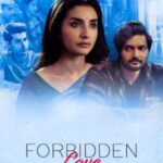 Forbidden-Love-Arranged-Marriage-2020-Hindi-ZEE5-Movie