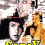 Sadak-1991-Hindi-Movie