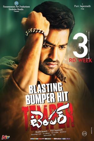 Temper-2015-Dual-Audio-Hindi-English-Movie