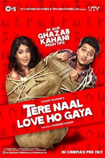 Tere-Naal-Love-Ho-Gaya-2012-Hindi-Movie