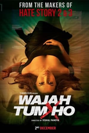 Wajah-Tum-Ho-2016-Hindi-Movie-1