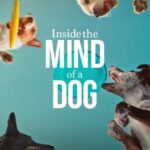 Inside-the-Mind-of-a-Dog-2024-Movie