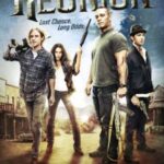 The-Reunion-2011-Dual-Audio-Hindi-English-Movie