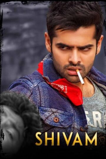 Shivam-2015-Dual-Audio-Hindi-Telugu-Movie