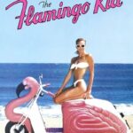 The-Flamingo-Kid-1984