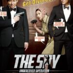 The-Spy-Undercover-Operation-2013-Movie