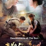 Descendants-of-the-Sun-series