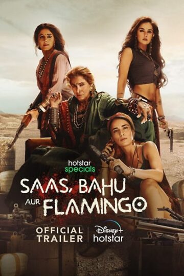 Saas-Bahu-Aur-Flamingo-Season-1-Hindi-Hotstar-WEB-Series