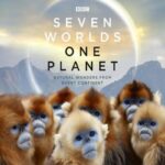 Seven-Worlds-One-Planet-Season-1-English-Web-Series