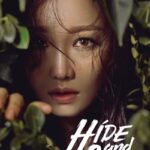 Download-Hide-and-Seek